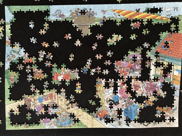 Jan_van_Haasteren_puzzel_Vogelkijkdag_van_Mars_Gremmen_puzzel_1000stukjes_-_25pct_af