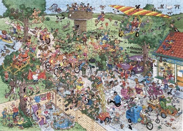 Jan_van_Haasteren_puzzel_Vogelkijkdag_van_Mars_Gremmen_puzzel_1000stukjes_-_puzzel_af